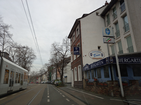 Koeln Poll